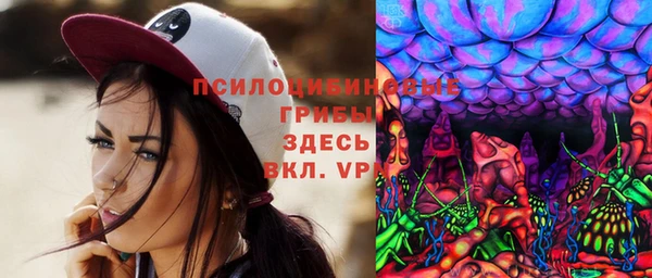 Альфа ПВП Новодвинск