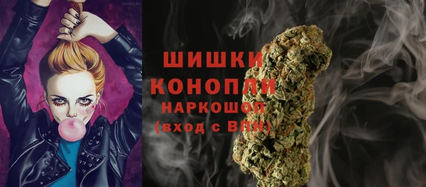 Альфа ПВП Новодвинск